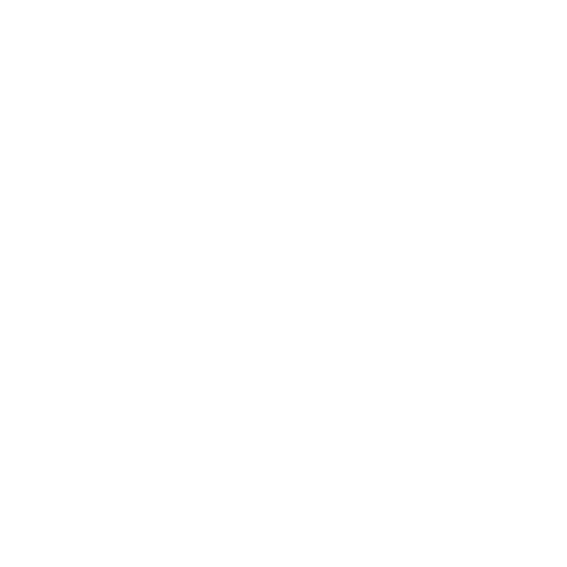 braces_1